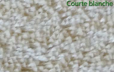 fibre humide courte blanche